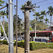 Street Scene with Bus and Monument – Alajuela, Costa Rica