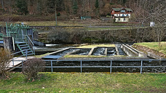 Fischtreppe an der Enz