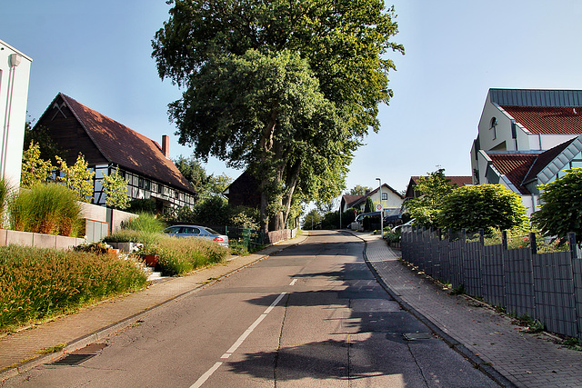 Elsetalstraße (Schwerte-Villigst) / 9.09.2023