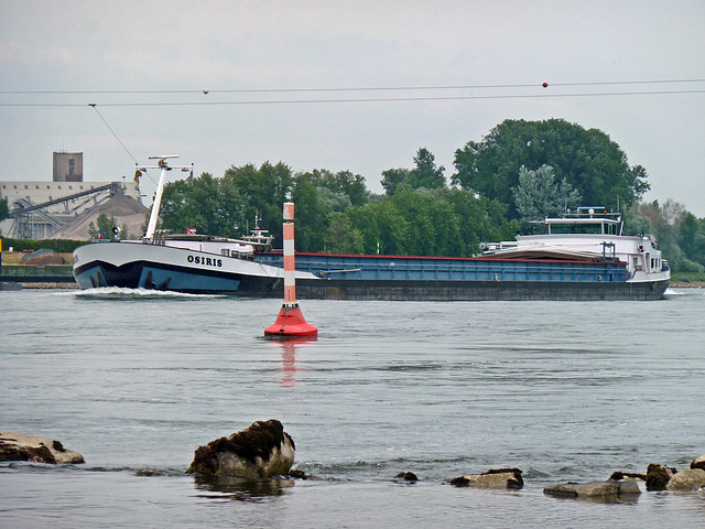 Die OSIRIS bei Niedrigwasser in Plittersdorf bergwärts