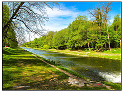 Die Wiese in Riehen