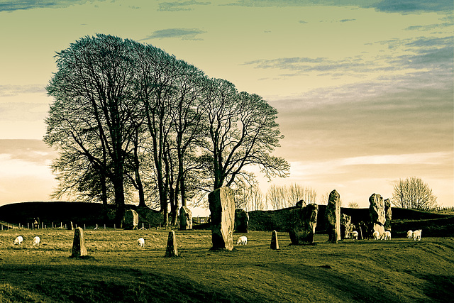 Avebury Beech Clump