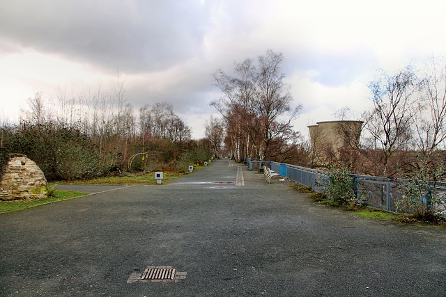 Ehemalige Werksbahntrasse (Westpark, Bochum) / 14.01.2019