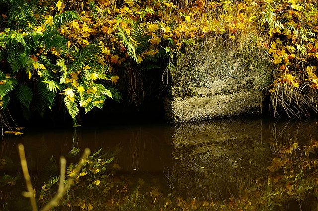 Hoppla, Wasser-Wand