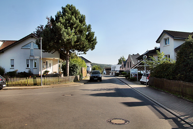 Elsetalstraße (Schwerte-Villigst) / 9.09.2023