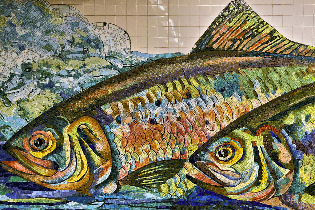 The Fish on the Subway Wall – Delancey Street Station, Lower East Side, New York, New York