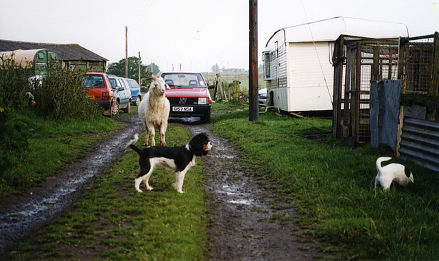 street scene