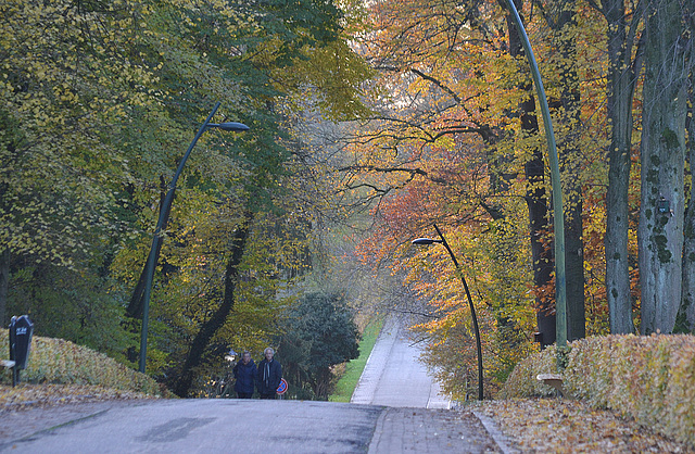 Autumn road