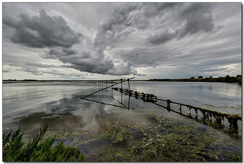 HFF-  The Blackwater estuary