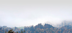 Nebel am Hocheck