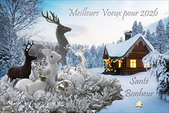 Meilleurs vœux - Beste Wünsche - Best wishes