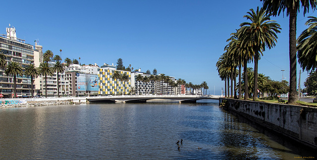 Viña del Mar (PiP)