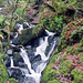 Arthog Waterfall (Scan from 1993)