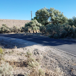 20180712 081638 001 20180712 081638 001