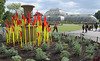 Red & yellow reeds and the Palm House