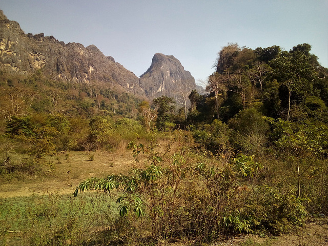 Laotian landscape / Paysage laotien