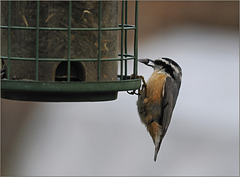 Room and board Room and board