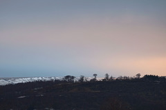 The trees on top of Shire Hill