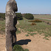 Скифский идол на рукотворном холме / Scythian Idol on a Man-Made Hill