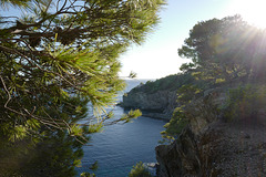 île de Porquerolles, France -french island