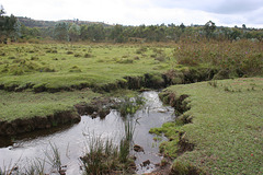 The Headwaters of the Kagera/Nile at Ruvoto, Burundi