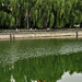 Forbidden City moat and wall