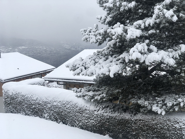 C’est pas le printemps !