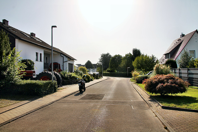 Finkenstraße (Schwerte-Villigst) / 9.09.2023