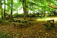 Three benches, a table, a wall, and a fence!!!!