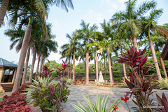 Nandgaon Sunseeker gardens