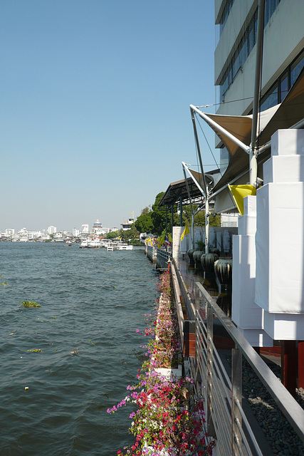 Chao Phraya River View