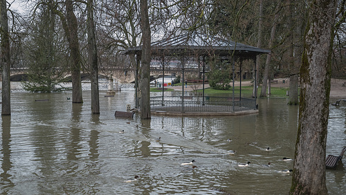 BESANCON:Innodation du parc Micaud 13