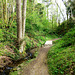 In der Maibachklamm