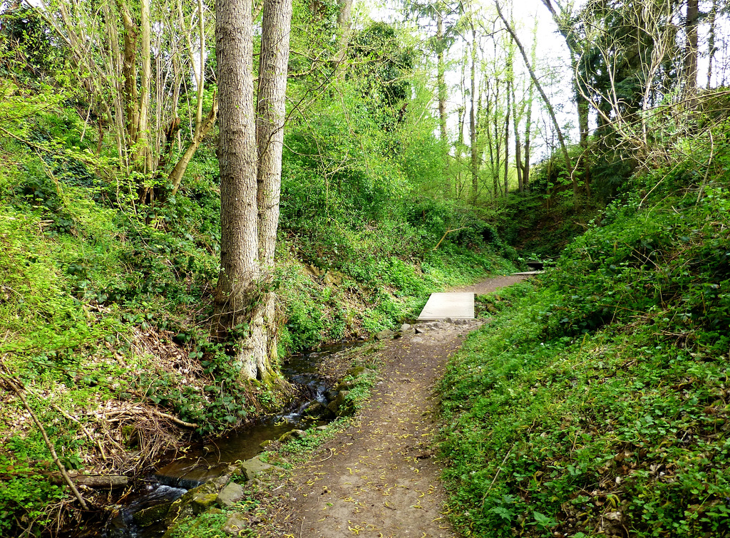 In der Maibachklamm