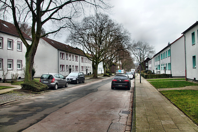 Eisenstraße (Essen-Katernberg) / 21.01.2023