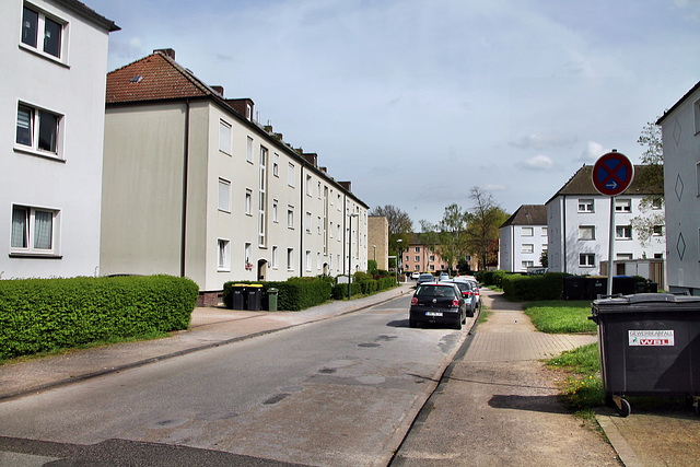 Christian-Morgenstern-Straße (Lünen-Altlünen) / 13.04.2024