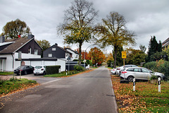 Am Hebewerk (Waltrop-Oberwiese) / 17.10.2024