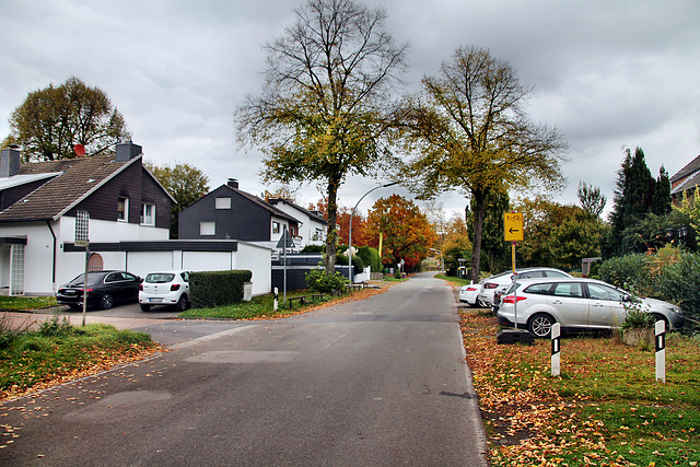 Am Hebewerk (Waltrop-Oberwiese) / 17.10.2024