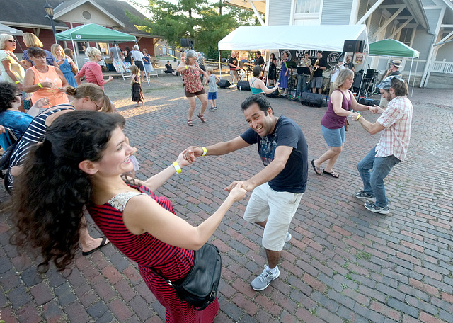 Dancing to the Wild Honeybees