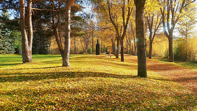 Ceal Tingley Park, Quesnel, BC