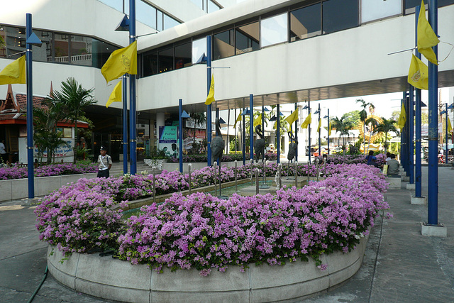 Flowers In Bangkok