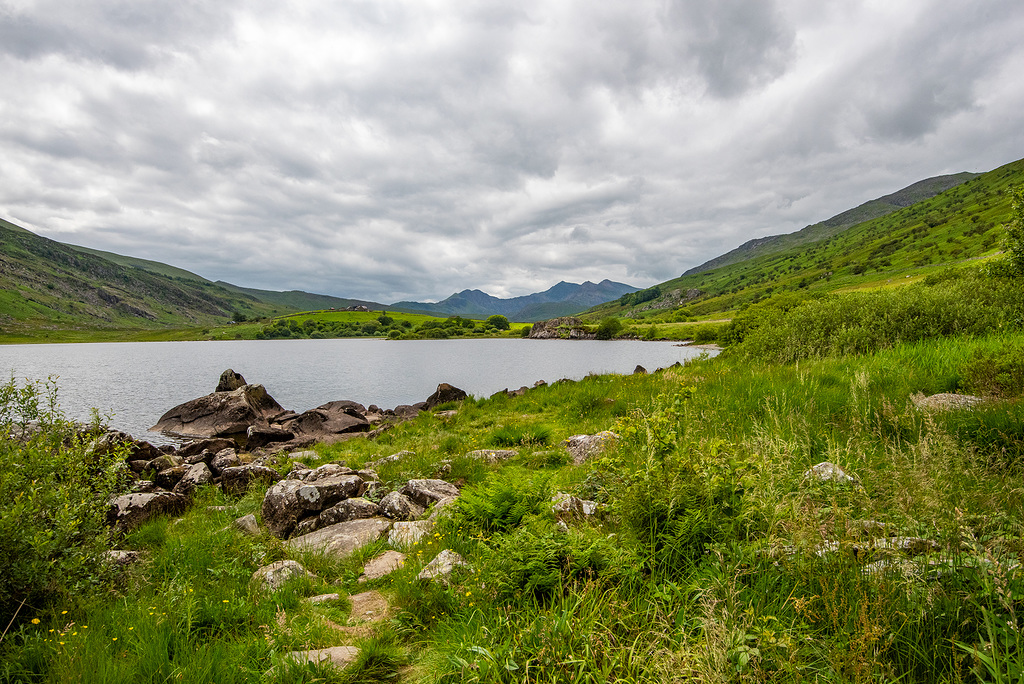 Llyn Llynnau