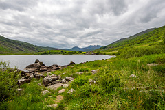 Llyn Llynnau