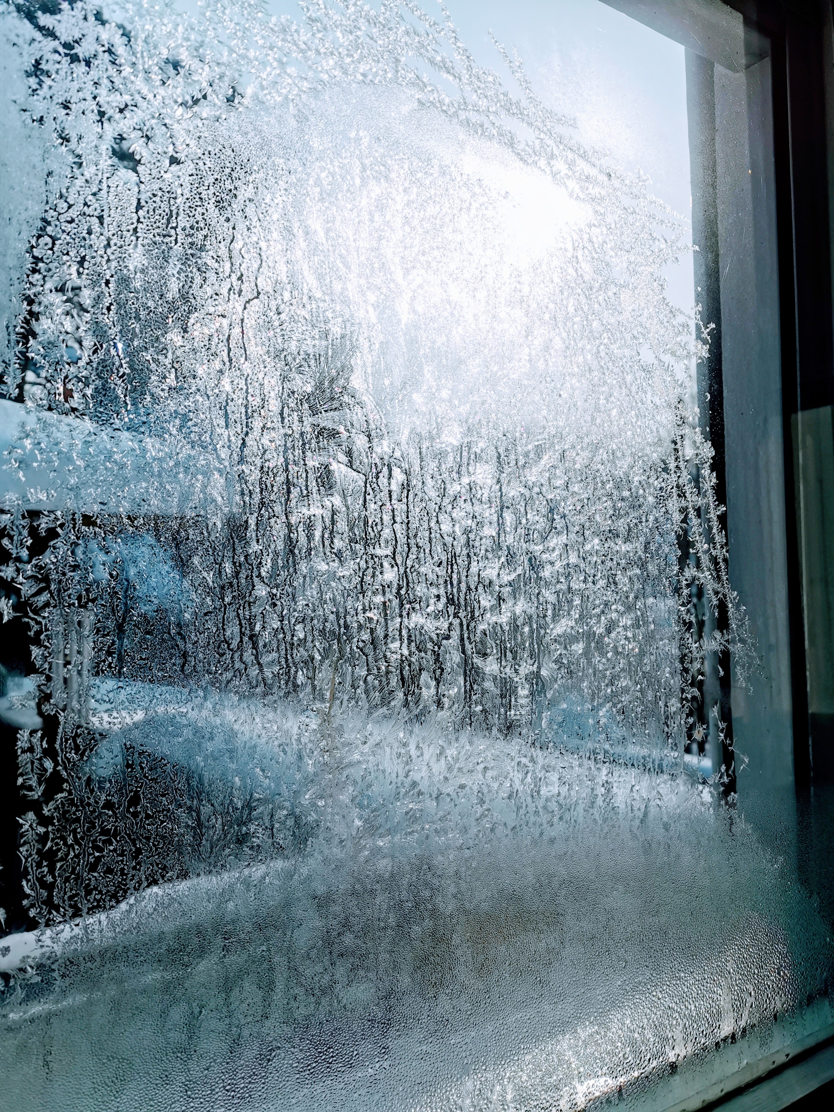 Eisblumen am Fenster