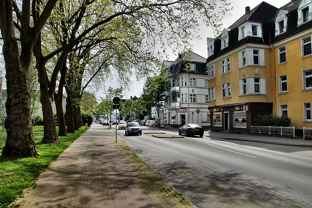 Cappenberger Straße (Lünen-Altlünen) / 13.04.2024