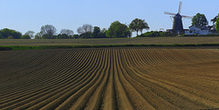 Lines and the mill