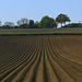 Lines and the mill