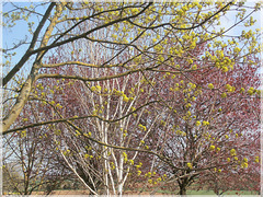 Frühlingsfarben / spring colors