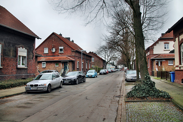 Eisenstraße, Kolonie Zollverein III (Essen-Katernberg) / 21.01.2023