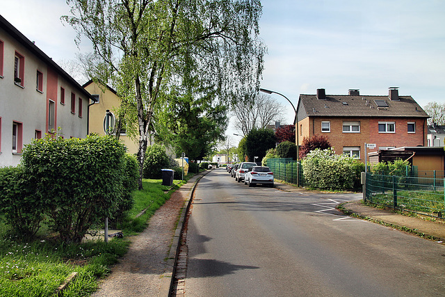 Krimstraße (Lünen-Altlünen) / 13.04.2024